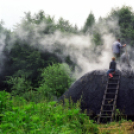 Tardonától az ,,őserdőig’’