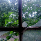 Telefonfotók - Ceglédi hangulatok