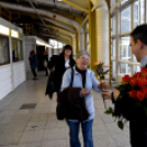 Városi nőnap - fotó: Kisfaludi István 