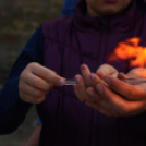 Régi idők piacztere - fotó: Kisfaludi István