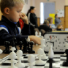 II. Cegléd és térsége sakkverseny