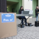 Utcazene fesztivál és koncertek