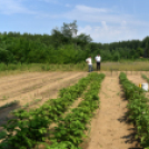 Képesek az önellátásra