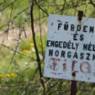 Éhmann Ferenc Emlék Kupa