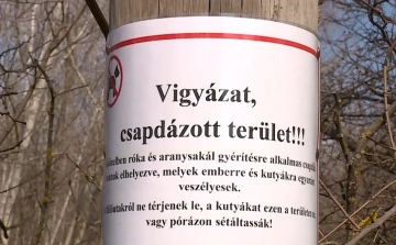 Vigyázat, vadcsapdák!