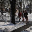 Arany Oroszlán Sport- és Egészségnap Cegléden