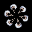 ARTpoétika - Sallai Jutka fotói