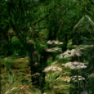 ,,Tudom e mérni a mérhetetlent’’