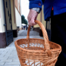 Az év utolsó ÖKO piaca