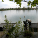 Éhmann Ferenc Emlék Kupa