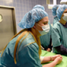 Nyílt nap a Toldy Ferenc Kórházban 