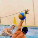 Ceglédi Vasutas Sport Egyesület - PVSK PSN (Pécs) 13:10