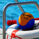 Miami vízilabdások Cegléden