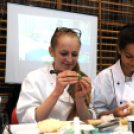 Pályaválasztási kiállítás