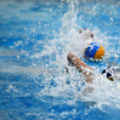 Ceglèdi Vasutas Sport Egyesület - Csabai Csirkefogók VK  (Bèkèscsaba)  9 - 8 