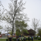 Czigle fűzfákat ültettek a Malom térre