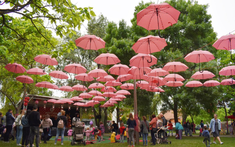 Közútkezelői tájékoztatás