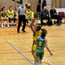 CEGLÉDI EKK – UNIQA EUROLEASING SOPRON 53 – 78