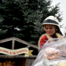 🎄 Holnap nyílik a Ceglédi Advnet 🎄