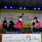 Anyák napi virágvásár és Anyám tyúkja főzőverseny