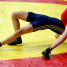 Ceglédi Birkózó OB