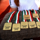 CEGLÉDI VSE–SOPRONI VSE