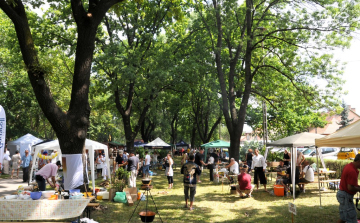 Új helyszínen a Laskafesztivál!