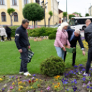 Ments meg egy árvácskát!