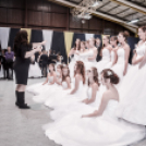 Gimis Szalagavató 2015