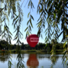 Több száz résztvevő a Városi Sportnapon