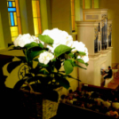 Magyarország első Bach orgonája a ceglédi evangélikus templomban.