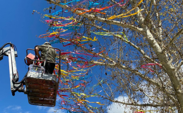 Májusfa a Kossuth téren