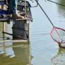 Éhmann Ferenc Horgászverseny