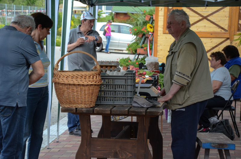 Oázis Kertészeti Áruház
