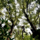 Református nevelőszülők találkoztak Cegléden