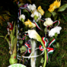 Március 15-i ünnepségek