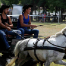 Laska fesztivál - szombat délelőtt