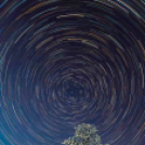 MAFOSZ kiállítás képei