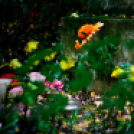 ,,Tudom e mérni a mérhetetlent’’