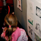 Középületek ma és holnap