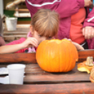 Családi tökfaragás az Oázis Kertészetben