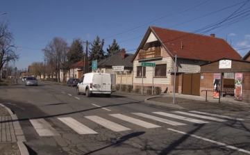 Déli úti zebra - Még nem hivatalos gyalogátkelőhely