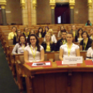 Demokráciajáték a parlamentben