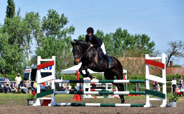 MLSZ Regionális díjugrató és szabadidős lovasverseny a Füle tanyán