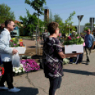 Csemői - Anyám tyúkja