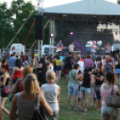 IX. Bor és Laskafesztivál - IV. Ceglédi Vágta