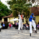 Kossuth Toborzó - 2016 - VASÁRNAP