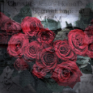 Baán Katalin - fotókiállítás 