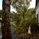 Októberi orkán Cegléden