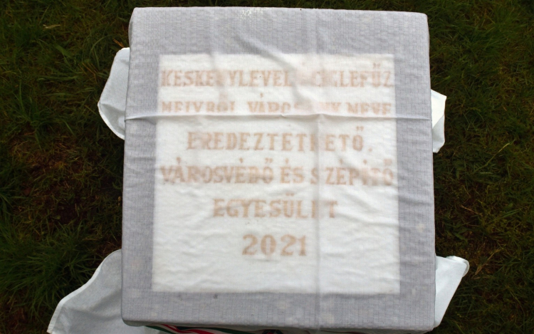 Czigle fűzfákat ültettek a Malom térre